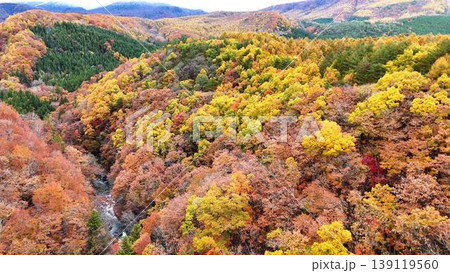 紅葉の山々と渓谷の広大な風景│秋の空撮パノラマ 139119560