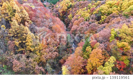 錦秋の中津川渓谷│紅葉に染まる渓流の空撮風景 錦秋の中津川渓谷│紅葉に染まる渓流の空撮風景 139119561