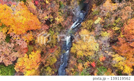 紅葉の森を流れる渓流の真俯瞰│中津川渓谷の秋 139119562