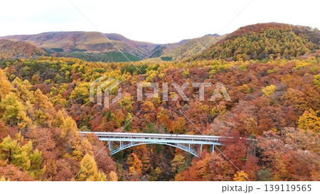 秋の中津川渓谷と紅葉の山々│雄大な自然の空撮風景 秋の中津川渓谷と紅葉の山々│雄大な自然の空撮風景 139119565