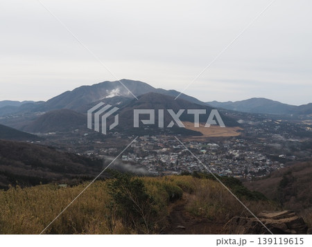 月中旬の金時山・明神ヶ岳（神奈川県箱根町・南足柄市、静岡県小山町） 139119615