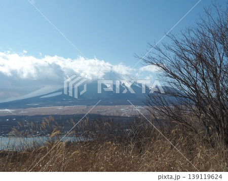 月中旬の金時山・明神ヶ岳（神奈川県箱根町・南足柄市、静岡県小山町） 139119624
