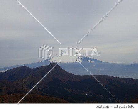 月中旬の金時山・明神ヶ岳（神奈川県箱根町・南足柄市、静岡県小山町） 139119630