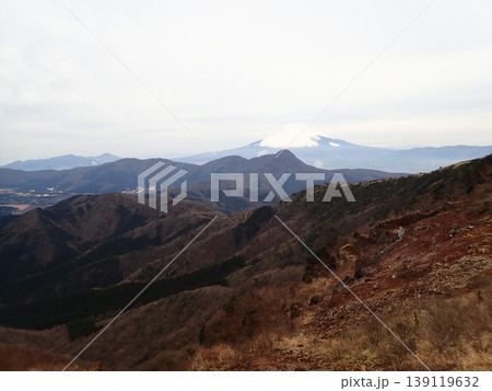 月中旬の金時山・明神ヶ岳（神奈川県箱根町・南足柄市、静岡県小山町） 139119632