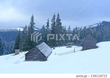 Snowy winter road in forest. Summer houses in snow-capped Carpathian mountains. 139119715