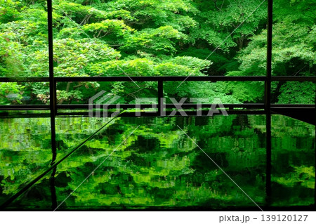青もみじと書院の風景 青もみじと書院の風景 139120127