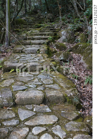 山奥へと続く石畳の道 139120237