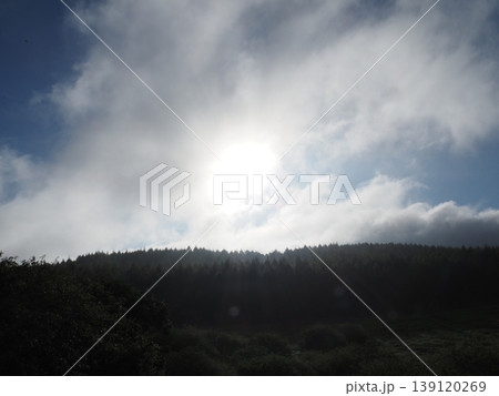8月上旬の八島湿原(長野県諏訪市・下諏訪町) 8月上旬の八島湿原(長野県諏訪市・下諏訪町) 139120269