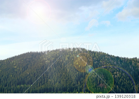 Sun shines over forested mountain. The Carpathian Mountains in sunlight Sun shines over forested mountain. The Carpathian Mountains in sunlight 139120318