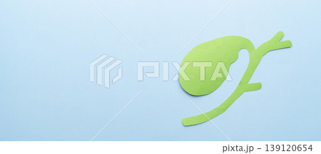 Gallbladder anatomy made from paper on blue background. Gallbladder anatomy made from paper on blue background. 139120654