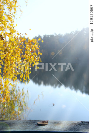Yellow birch leaves in sunny rays over lake. Autumn season. Autumnal landscape 139120667
