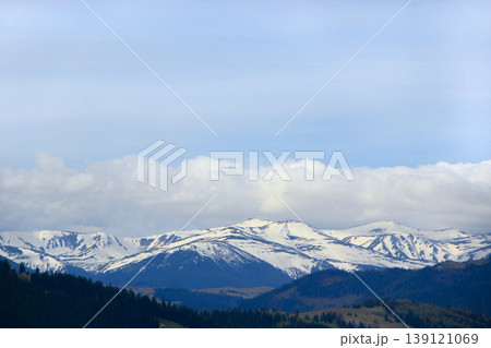 First snow in forest. Mountain landscape with spruce forest First snow in forest. Mountain landscape with spruce forest 139121069