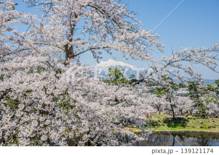 弘前城桜まつり2026 弘前城桜まつり2026 139121174