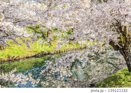 弘前城桜まつり2026 139121182