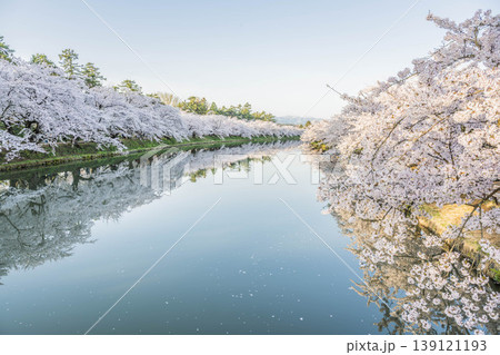 弘前城桜まつり2026 弘前城桜まつり2026 139121193