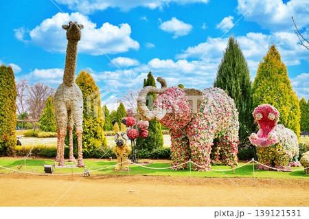 東武動物公園の風景 139121531