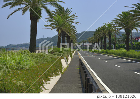 【神奈川】横須賀　馬堀海岸通りの風景 139121626