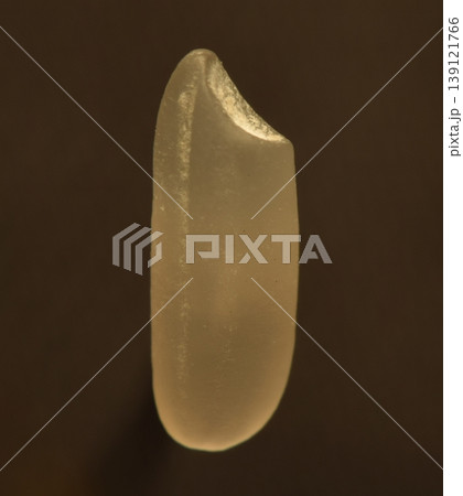 Shoot macro photography of rice grain. 139121766