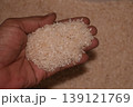 Rice grain in hands, isolated on a blur background. 139121769