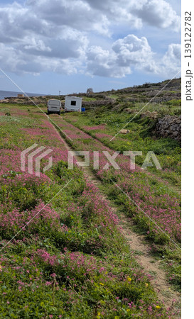 Rural Maltese countryside with vibrant pink wildflower fields alongside dirt track, white caravan parked on hillside, dramatic cloudy sky above 139122782