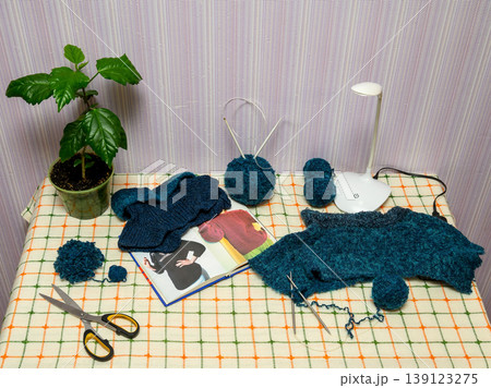 still life with knitting supplies and a houseplant under a white lamp 139123275