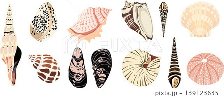 Seashell vector set, hand drawn marine shells collection in pastel colors Seashell vector set, hand drawn marine shells collection in pastel colors 139123635