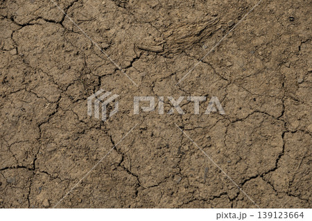 Parched brown earth with deep cracks Parched brown earth with deep cracks 139123664