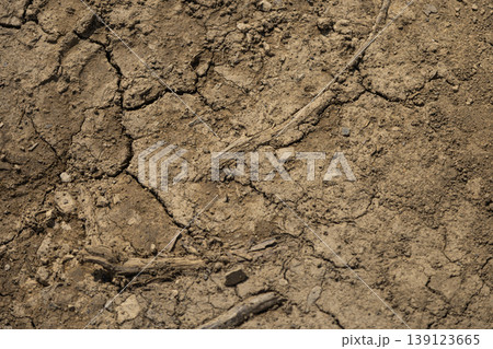 Detailed View of Dry Cracked Earth Surface 139123665