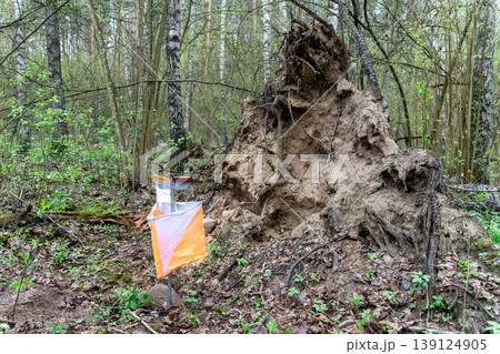 Orienteering control point with orange and white flag 139124905