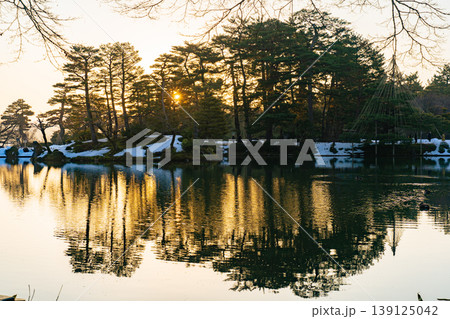朝の兼六園 蓬莱島と朝日が映る霞ヶ池の水面 朝の兼六園 蓬莱島と朝日が映る霞ヶ池の水面 139125042