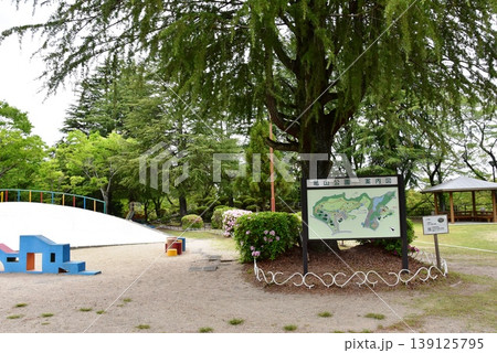 三重県　亀山城跡の亀山公園（ますみじどうえん）と新緑 139125795