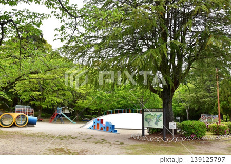 三重県 亀山城跡の亀山公園(ますみじどうえん)と新緑と蒸気機関車 三重県 亀山城跡の亀山公園(ますみじどうえん)と新緑と蒸気機関車 139125797