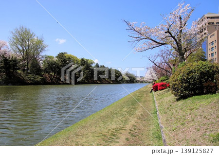 福岡市の舞鶴公園の福岡城址と濠 139125827