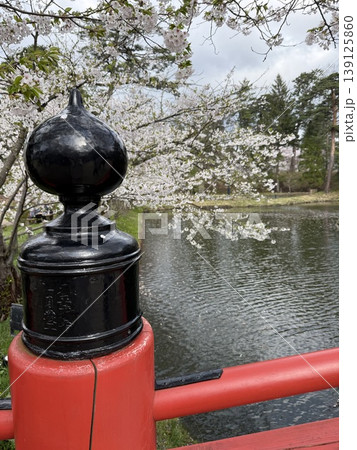 弘前公園の桜 弘前公園の桜 139125860
