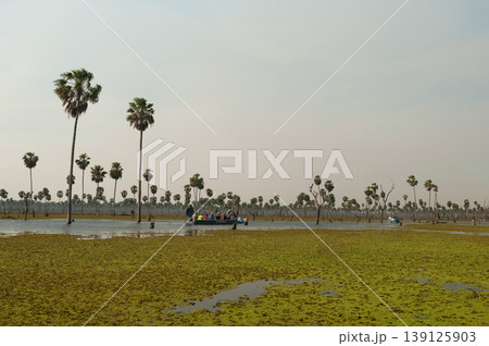 Tourists observing nature in La Estrella Marsh, Formosa province, Argentina. Tourists observing nature in La Estrella Marsh, Formosa province, Argentina. 139125903