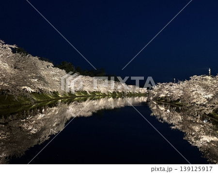 弘前公園の夜桜ライトアップ 139125917
