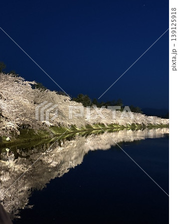 弘前公園の夜桜ライトアップ 139125918
