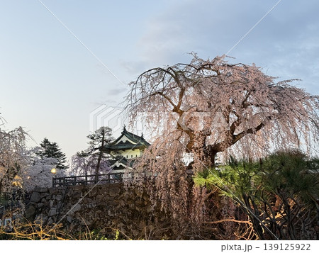 弘前城と古木 弘前城と古木 139125922