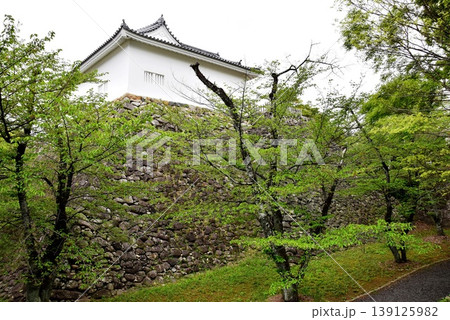 三重県　亀山城跡の多聞櫓と石垣と新緑 139125982