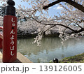 しゅんようばしと桜 139126005