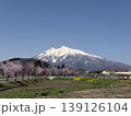 岩木山と桜と菜の花コラボ 139126104