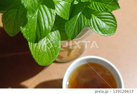 Fresh Mint and Cup of Herbal Tea on Wooden Table in Bright Sunlight Fresh Mint and Cup of Herbal Tea on Wooden Table in Bright Sunlight 139126617