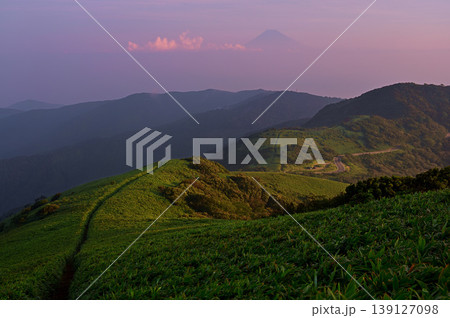 伊豆半島の伊豆山稜線歩道　達磨山の登山道より望む朝焼けの富士山と小達磨山 139127098