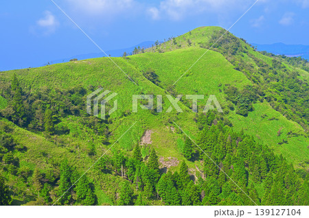 伊豆半島の伊豆山稜線歩道 古稀山より夏の緑の山地 伊豆半島の伊豆山稜線歩道 古稀山より夏の緑の山地 139127104