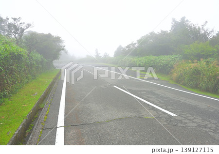 伊豆半島 濃霧の西伊豆スカイライン 伊豆山稜線歩道 伊豆半島 濃霧の西伊豆スカイライン 伊豆山稜線歩道 139127115