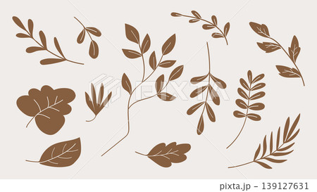 Silhouette Brown Leaves Set Botanical.Vector Illustration 139127631
