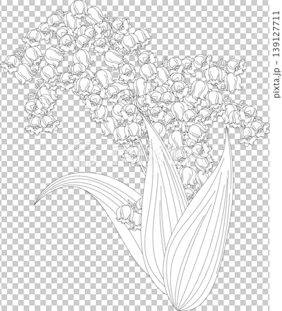 背景素材<花卉、鈴蘭、鈴蘭、白花、單色、線條畫> 139127711