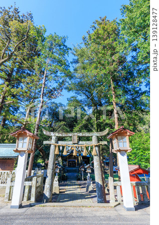 春の住吉神社 長崎県壱岐市 春の住吉神社 長崎県壱岐市 139128477