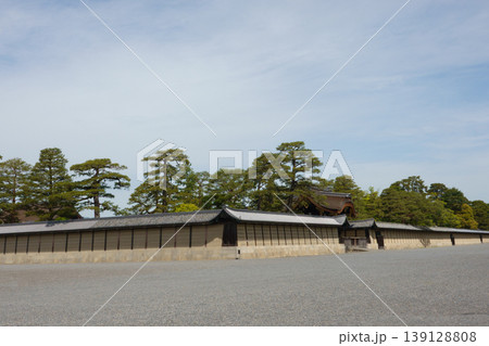 春の京都御所 春の京都御所 139128808