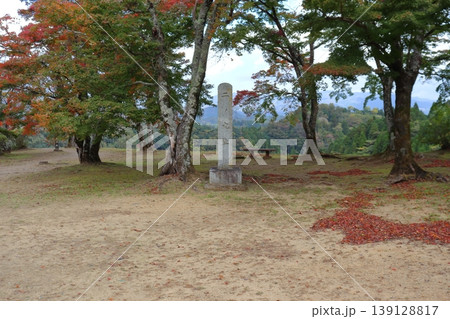 岡城 二の丸の景色(大分県竹田市) 岡城 二の丸の景色(大分県竹田市) 139128817